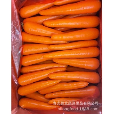 山东种植基地常年大量供应保鲜胡萝卜S M L 2L 3L图2
