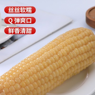 180g真空玉米棒香甜软糯可口健康新鲜速食饱腹代餐玉米批发图4