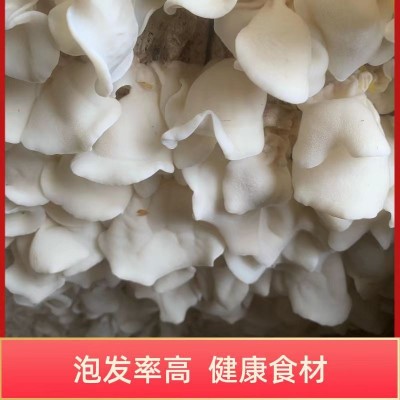 白木耳干货商用餐饮批发大白玉耳竹耳白木耳图4