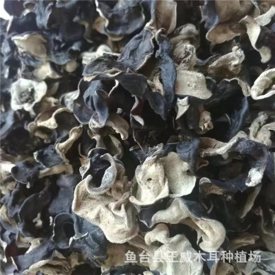 木耳碎干货批发 无泥沙无杂快餐汤料胡辣汤用精选木耳碎图2