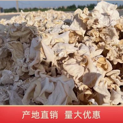 白木耳大白竹耳批量供应朵型完整肉质厚实干货白玉木耳白木耳图4