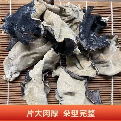 白背木耳干货批发毛肚木耳肉厚片大口感脆爽毛木耳白背木耳图2