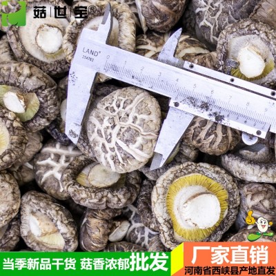 河南冬花菇大小均匀西峡香菇干货香味浓郁新货剪脚5件/5市斤起批5斤图3