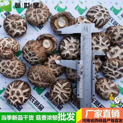 河南冬花菇大小均匀西峡香菇干货香味浓郁新货剪脚5件/5市斤起批5斤图4