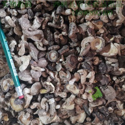小香菇未剪腿带脚菇西峡农家特产菇香浓郁干货产地直销厂商适用5斤图3