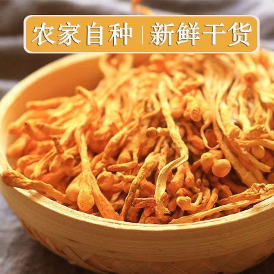 虫草花大量批发 北虫草金虫草 散装食用菌干货产地直销特产批发图3