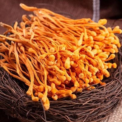 虫草花大量批发 北虫草金虫草 散装食用菌干货产地直销特产批发图2