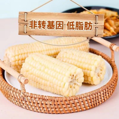 承接代加工白糯玉米东北新鲜糯玉米软糯2件图2