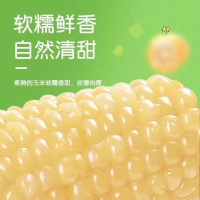 承接代加工白糯玉米东北新鲜糯玉米软糯2件图4