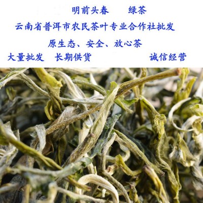 厂家批发云南滇绿茶普洱产地滇青散茶2023年春茶绿茶清香甘甜