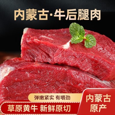 达生源内蒙古牛后腿肉烧烤店饭店烧烤炖卤食材新鲜冷冻牛肉批发