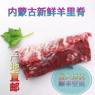 内蒙古产地批发新鲜羊里脊 烧烤食材 新鲜羊里脊肉一件代发羊肉