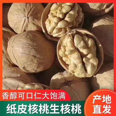 【一件代发】阿克苏185纸皮核桃 生核桃新疆特产坚果休闲零食薄皮