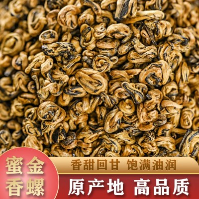 红茶云南凤庆大师制滇红茶批发 滇红蜜香金螺500克散装茶叶