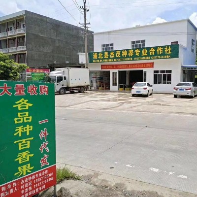 源头工厂广西百香果原浆新鲜现挖果酱果肉果汁厂奶茶店专用批发