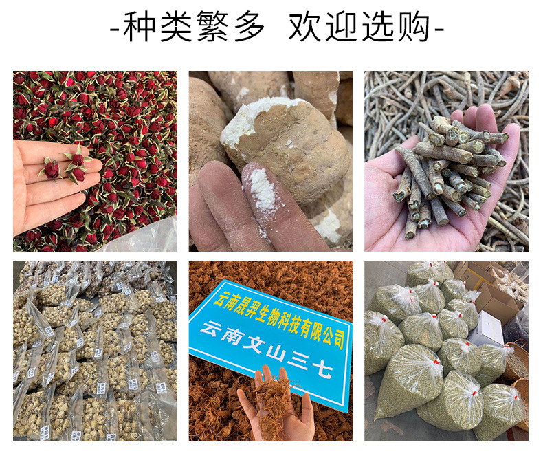 墨红玫瑰_11